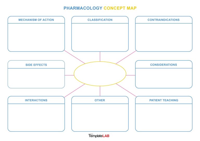 19 Amazing Concept Map Templates FREE TemplateLab