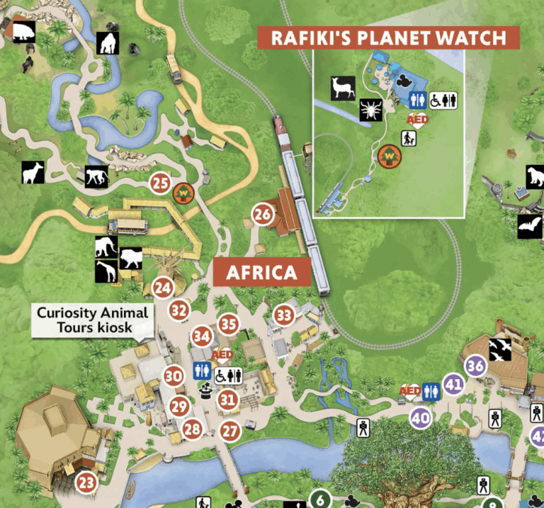 2025 Animal Kingdom Map Walt Disney World WDW Magazine