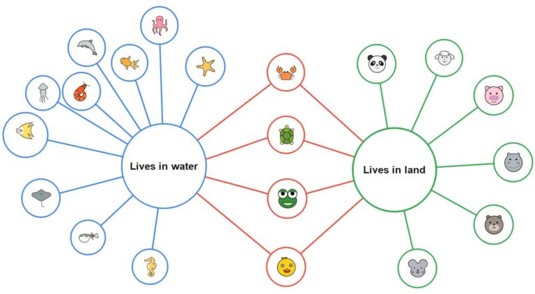 Double Bubble Map Template U0026 Examples EdrawMind