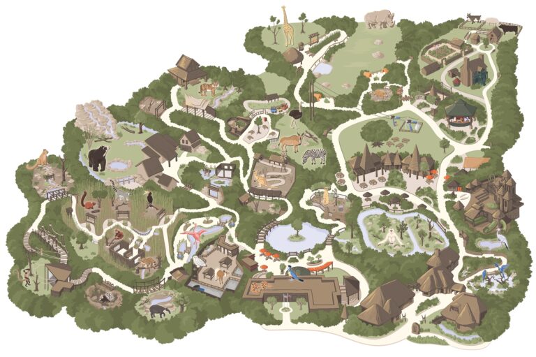 Making The Nashville Zoo Map Carden Illustration
