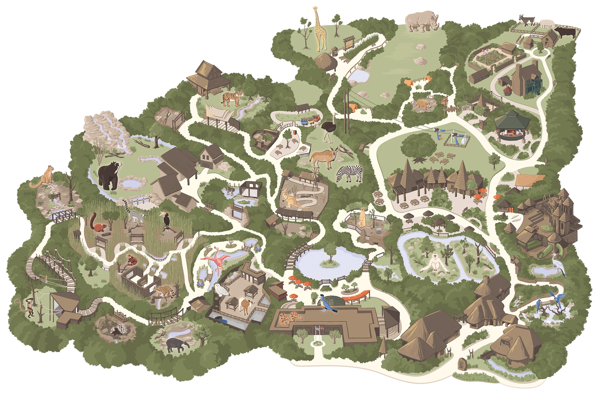 Making The Nashville Zoo Map Carden Illustration