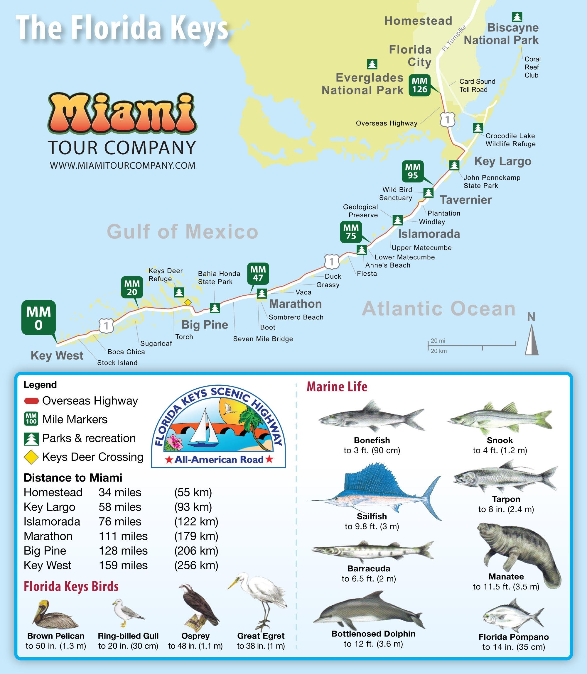 Printable Map Of Key West Florida