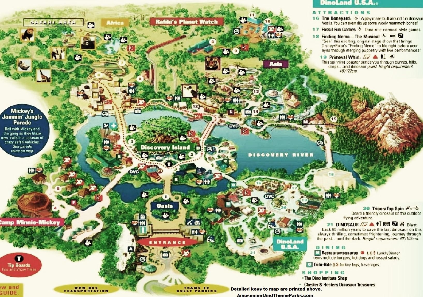 Animal Kingdom Map Printable