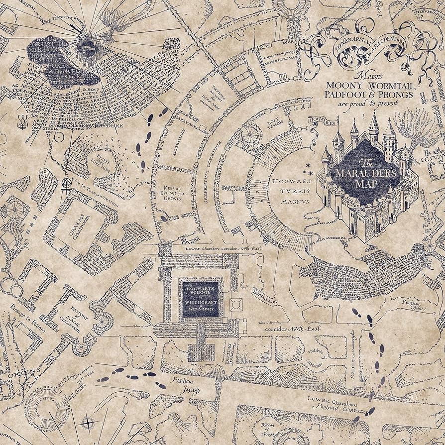 RoomMates RMK12436RL Blue Harry Potter Marauder s Map Peel And Stick Wallpaper Amazon